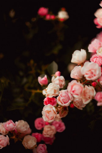 Valentine S Day Aesthetic Wallpaper For Your Phone