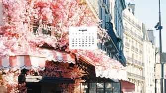 March Wallpaper Bies For Desktop Phones