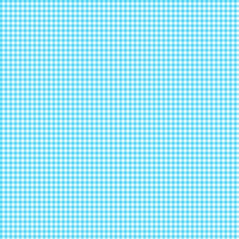 Blue Plaid Kariertes Papier Bies Meinlilapark Diy