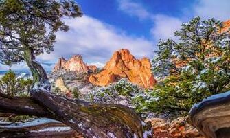 Garden Of The Gods Colorado Winter Snow Old Pine Tree Sky