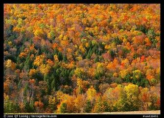 In Fall Splendor New England Wallpaperlot Wallpaper