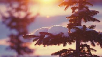Best Computer Wallpaper FHD For Macbook Laptop Pc