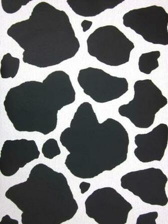 Cow Wallpaper HD Background