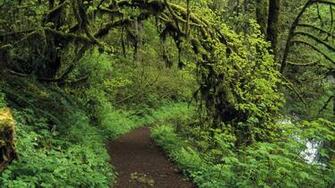 Oregon Nature Wallpaper