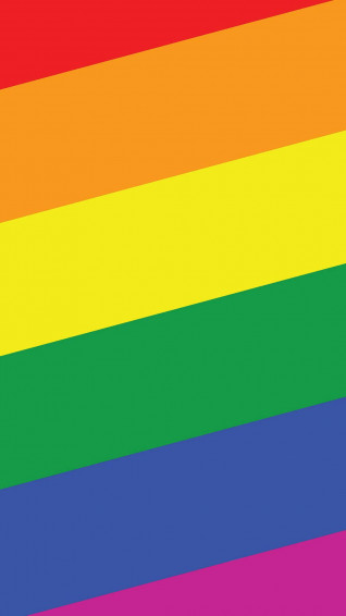 Cute Pride Color Strip Portrait Wallpaper