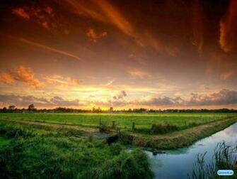 Nice Background HD Wallpaper Best