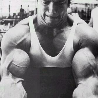 Arnold Schwarzenegger HD Image For