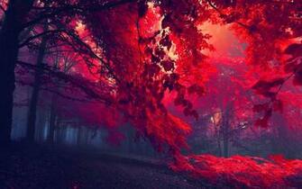 HD Wallpaper High Definition