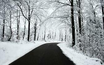 Wallpaper Nature Winter Desktop