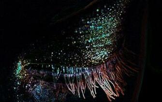 Mac Cosmetics Wallpaper iPhone