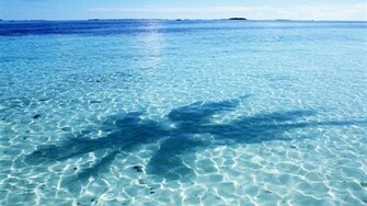 Soothing Desktop Background