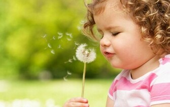 Blowing Dandelion Wallpaper Cute Child