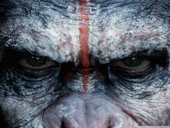 Dawn Of The Planet Apes Caesar 4k HD Desktop Wallpaper
