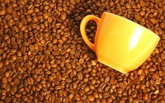 Coffee Beans Wallpaper Cup Of Myspace Background