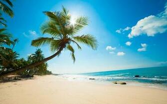 Caribbean Wallpaper