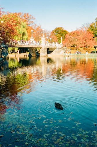 Reminder That Cool Fall Weather Is Only A Few Months Away