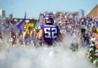 Minnesota Vikings Should Chad Greenway Return For