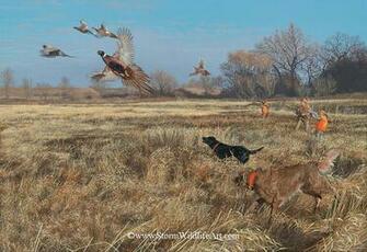 Pheasant Hunting Paintings Quotes