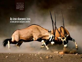 July Iron Sharpens Wallpaper