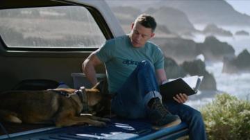 Dog Trailer Video Moviefone
