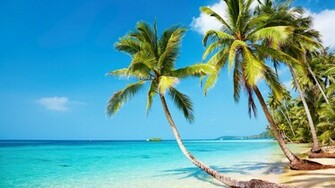 Tropical Beach 4k Ultra HD Wallpaper Net