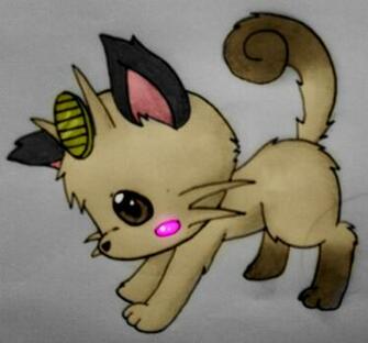 Meowth Image HD Wallpaper And Background Photos
