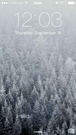Winter In The Forest