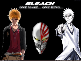 Pic Anime Bleach 107894b Wallpaper And Pics