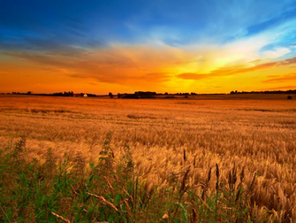 Country Autumn Sky Wallpaper Neocon Republican Hypocrites Talk