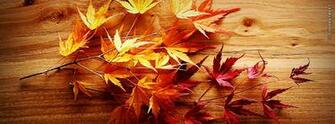 Fall Covers