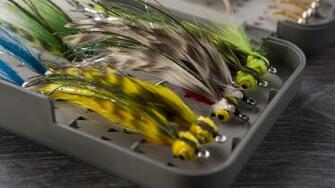 Saltwater Fish Wallpaper Box Fly Fishing