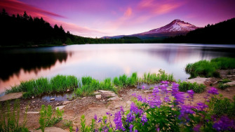 Nature Love Wallpaper HD