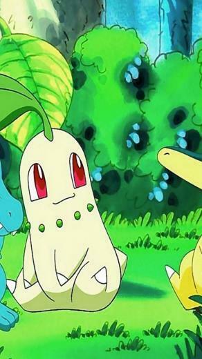 Pokemon Totodile Cyndaquil Chikorita Mobile Resolutions