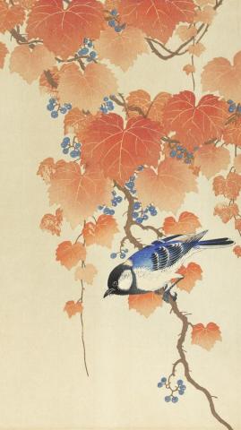 Ohara Koson iPhone Wallpaper Phone Background Great Tit On