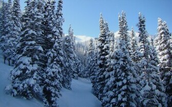Winter Desktop Wallpaper For HD Widescreen And Mobile