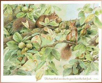 Lang Wallpaper August Nature S Journal