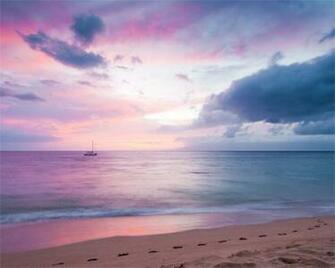 High Definition Wallpaper