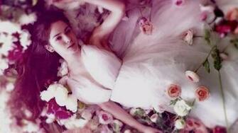 Bed Of Roses High Quality And Resolution Wallpaper