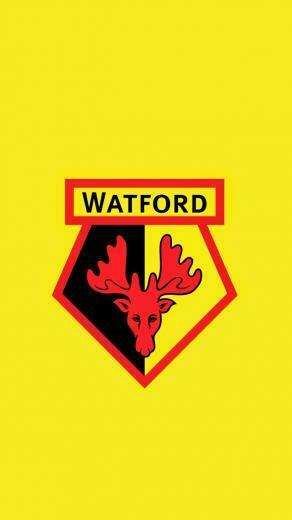 Watford Fc Wallpaper Gambar
