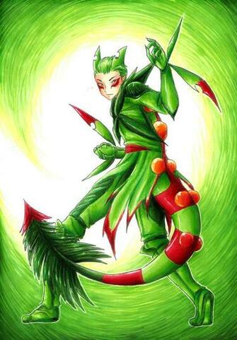 Mega Sceptile Gijinka By Rockbat