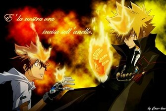 Tsuna Katekyoushi Hitman Reborn Photo