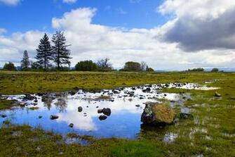 Northwest Outdoors Wallpaper Pictures Photos And Background