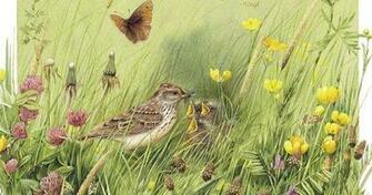 Lang March Desktop Wallpaper Marjolein Bastin Art