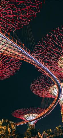 Garden By The Bay Singapore iPhone X Wallpaper