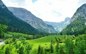 Mountains Forest Scenery Wallpaper