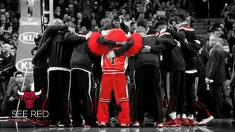 See Red Wallpaper Chicago Bulls