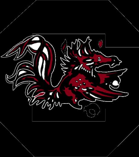 South Carolina Gamecocks Logo Image Code For Myspace