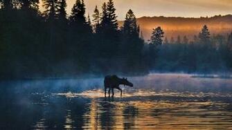 National Parks History And Amalia Baldwin Stevens