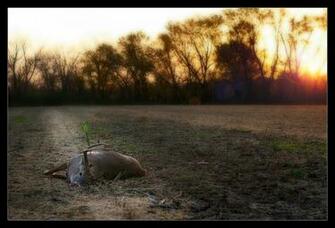 Bow Hunting Desktop Wallpaper