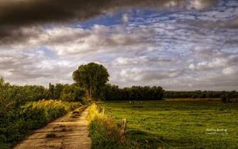 Country Road Wallpaper